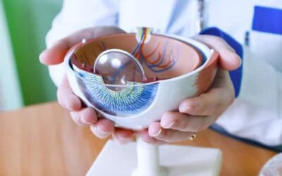 The Only Resource You’ll Ever Need to Understand Your Options for Cataract Surgery
